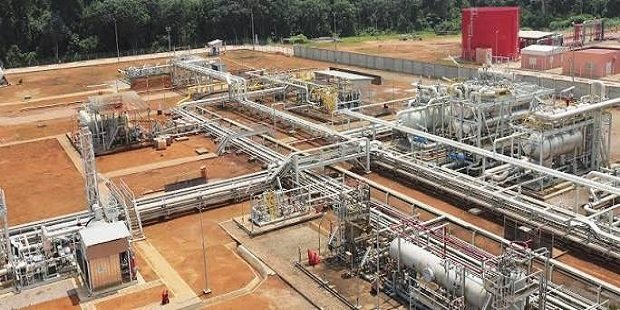 Perenco plans to redirect Cameroon gas to local market
